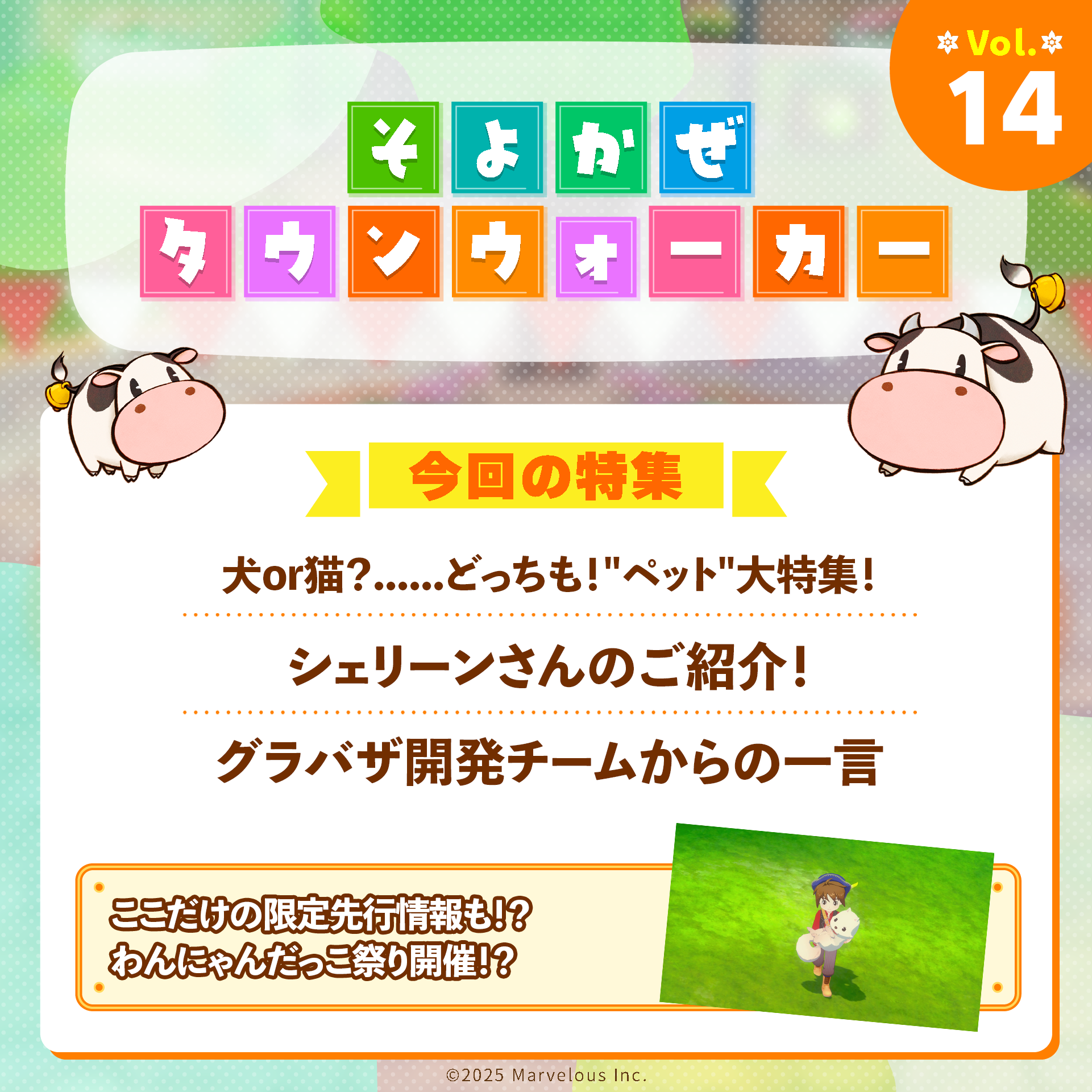 Follow_TownWalkerContents_12.png