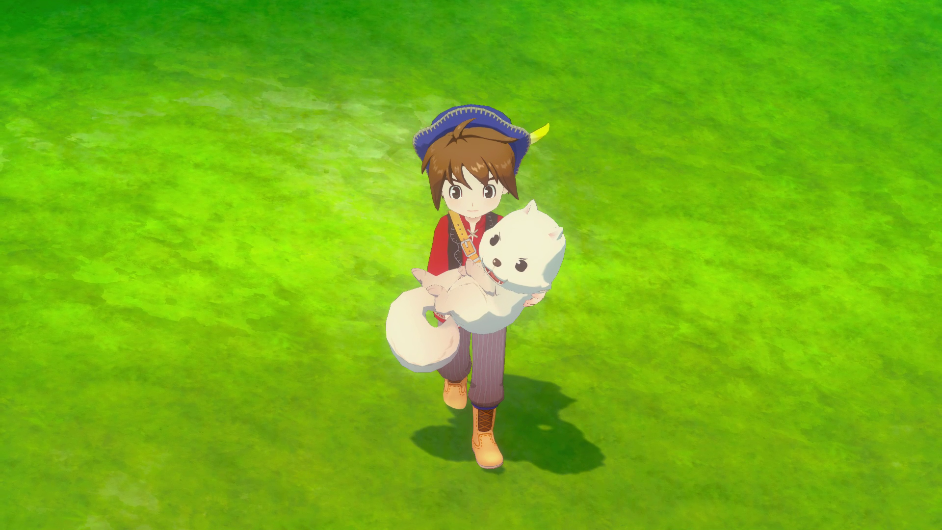 vlcsnap-2025-07-11-12h29m02s097.png
