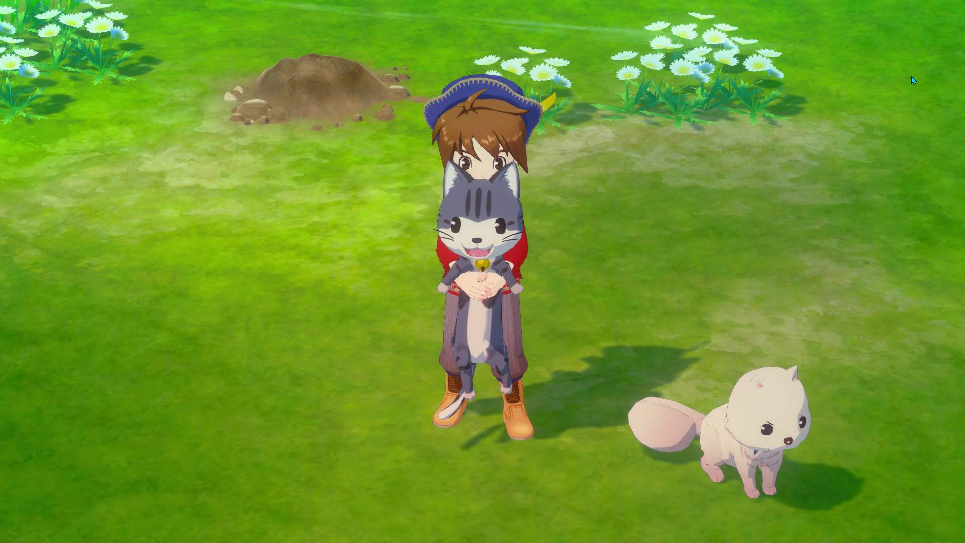 vlcsnap-2025-07-11-12h29m31s242.png